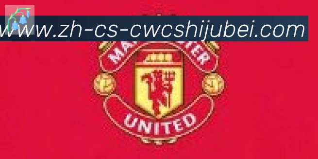 世界杯买球合作伙伴