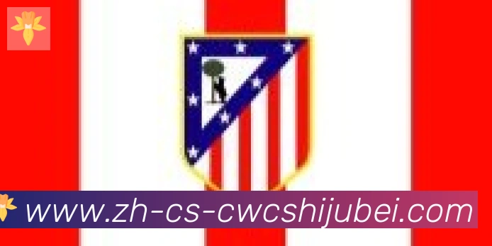 世界杯买球合作伙伴